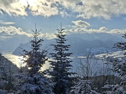 Foto von Sabine Sundl entlang der Tour
