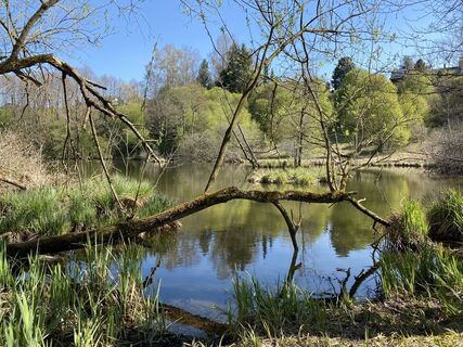 Фото с сайта justasimpleguy во время экскурсии