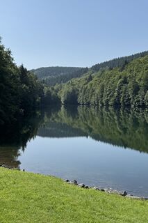 Fotografia z alpinfoto na trase