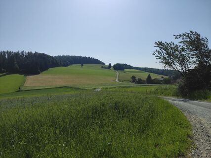 Foto da stuebi lungo il tour