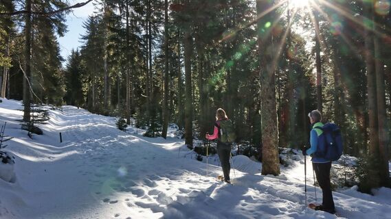Wanderung zum Teufelstein mit Schneeschuhen_im Wald von Fischbach_Oststeiermark