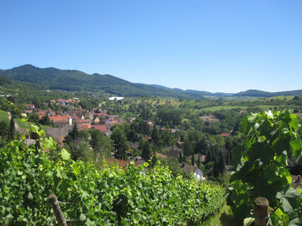 Blick übers Markgräflerland