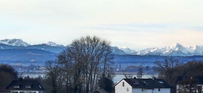 Photo de garrincha le long du parcours