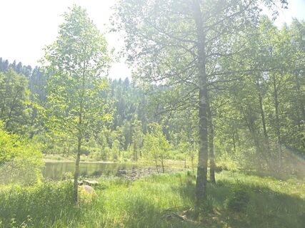 Foto von Michel Kennel entlang der Tour