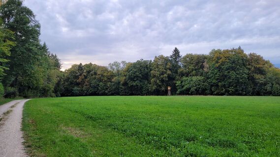Photo de Max Gisler le long du parcours