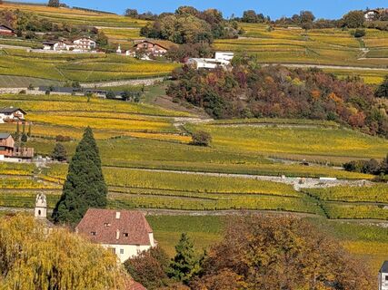 Fotografie z ottiperk na trase