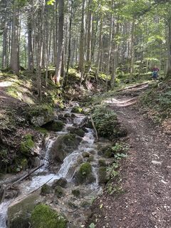 Foto von László Tivadar entlang der Tour