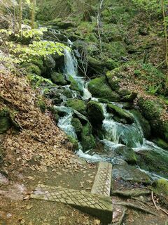 Fotografie z Dagmar Hofer na trase