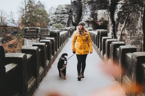 Auf der Basteibrücke mit Hund