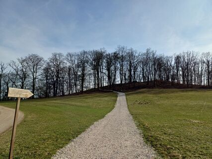 Foto von Andrea Rothbauer entlang der Tour