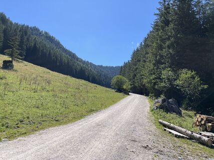 Foto da Heinz Sperl lungo il tour