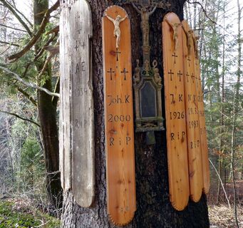Die Totenbretter an der sogenannten Kreuzfichte stammen von verstorbenen Anrainern die am Weg zum Friedhof hier vorbei getragen wurden.