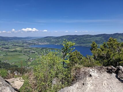 Fotografia z Renate Hackl na trase