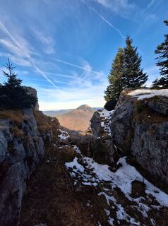 Photo de Mimi le long du parcours