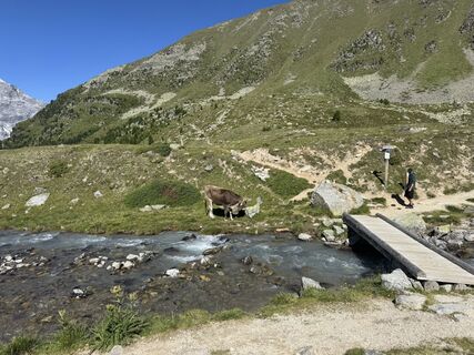 Foto von Salis Backservice entlang der Tour