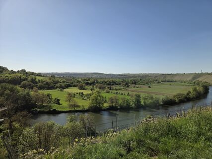 Fotografija s spletne strani Timon Bertignoll na poti