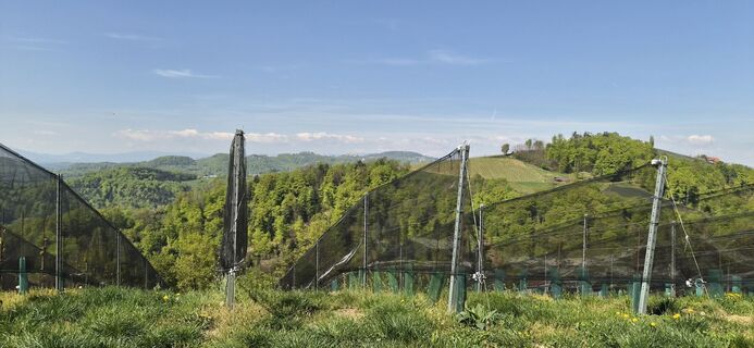 Foto de Erich7 a lo largo del recorrido