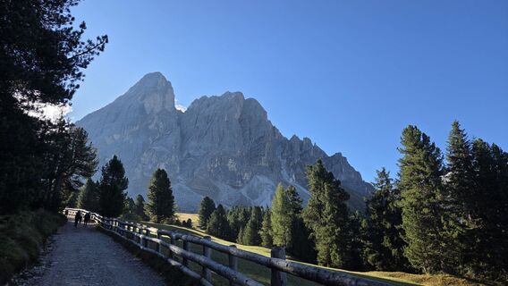 Foto da V Feurstein lungo il tour