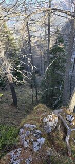 Foto von Siegfried Sauseng entlang der Tour