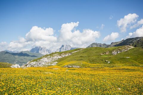 Unterhalb der Rätschenfluh mit Blick Richtung Drusenfluh und Sulzfluh