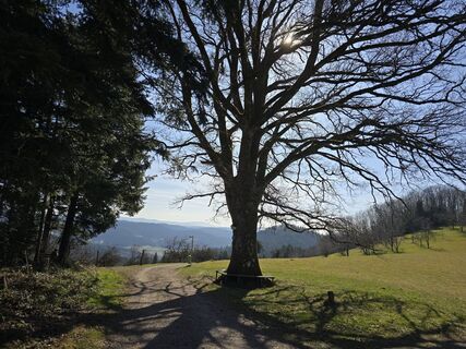 Fotografie de la Michel Kennel de-a lungul turului