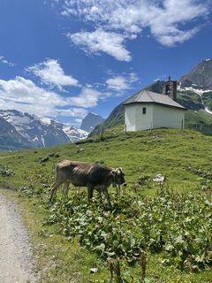 Photo de Martin Reinhard le long du parcours