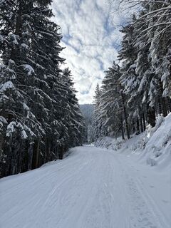 Foto von Heinz Sperl entlang der Tour