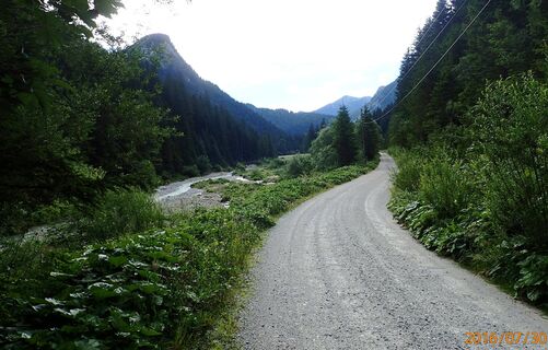 Anmarsch über die Forststraße