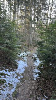 Photo de Matthias G74 le long du parcours