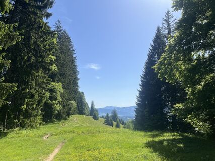 Fotografia z Terence Rose na trase