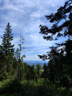 Fotografija s spletne strani Hannah Ruthmeyer na poti