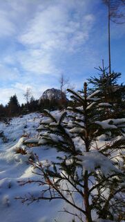 Blick auf Tausing