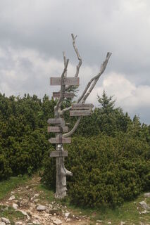 Fotografie z Andrew clarke na trase