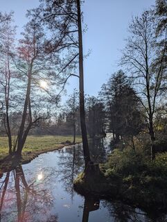Photo de Mike Heinßmann le long du parcours