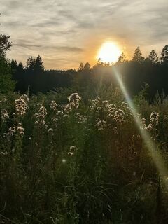 Foto von Sonja Herdeg entlang der Tour