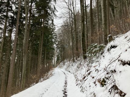 Foto de Meinrad Föger a lo largo del recorrido