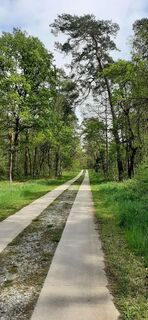 Elberadweg