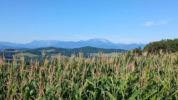 Fotografia z Rudolf na trase