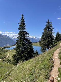 Fotografia z Babs Moergeli na trase