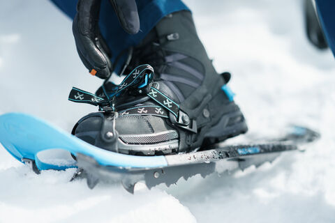 Pyhrn Priel Nationalpark Kalkalpen Winter Schneeschuhwandern