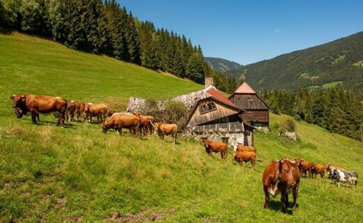wanderung zur gewürzalm oppenberg_img_73199170