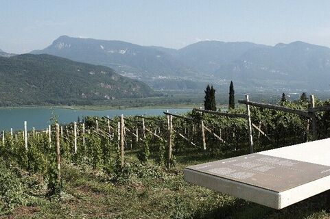 wein.weg in Kaltern am See