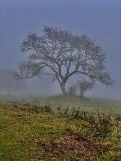 Photo de Leo Fahrngruber le long du parcours
