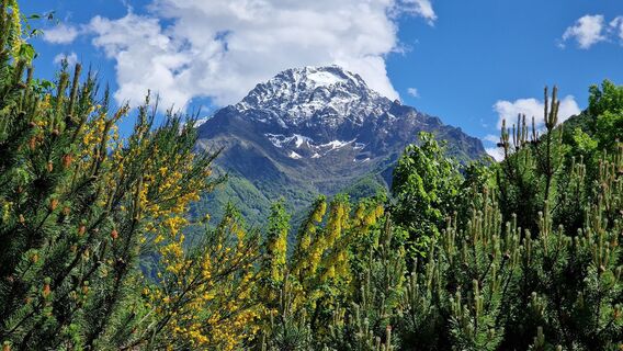 Fotografia z Fabrizi Mellano na trase