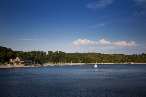 Auf dem Mohensee tummeln sich viele Segelboote.