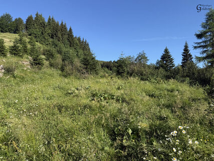 A164 Rifugio Piedro Fabiana - Nassfeld