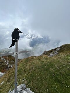 Foto von PhilipOberhauser entlang der Tour