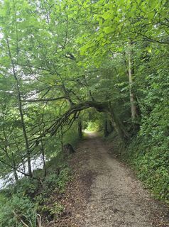 Foto von Maggik entlang der Tour