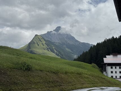 Foto von Grizzli entlang der Tour