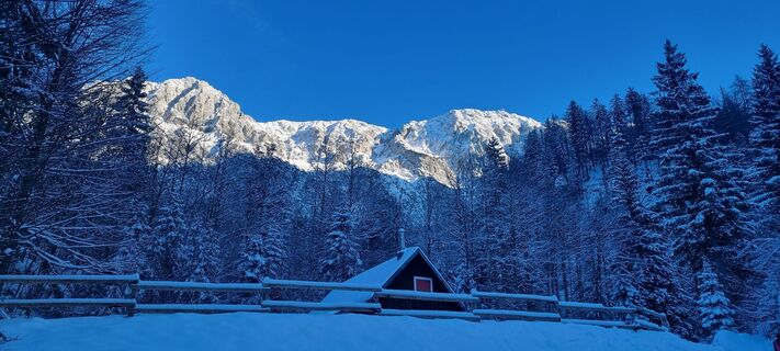 Fotografija s spletne strani veronic26 na poti